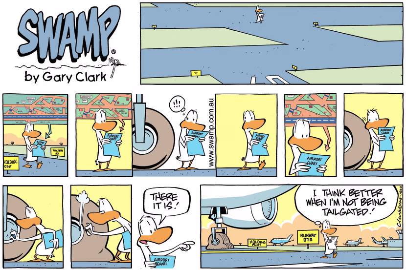 Swamp Cartoon - Swamp Duck Tailgated ComicJune 16, 2024